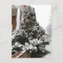 Suche nach schneebedeckte bäume postkarten Baum