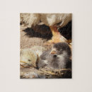 Suche nach schnabel andere Vogelvogel