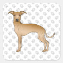 Suche nach greyhound aufkleber Italienischer windhund