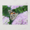 Suche nach gemalte postkarten Schmetterling