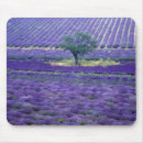 Suche nach lavendelfeld mousepads Natur