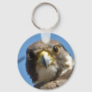 Suche nach wilder vogel schlüsselanhänger Falke