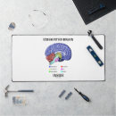 Suche nach menschliche anatomie mousepads Anatomisch