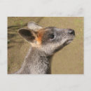 Suche nach australier postkarten Einzigartig