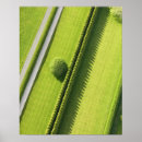 Suche nach hecke poster Gras