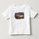 Suche nach seehund tshirts Ozean