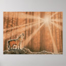 Suche nach einsamer baum poster Sonnenuntergang