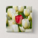 Suche nach rote tulpe buttons Blume