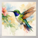 Suche nach kolibri poster Blume