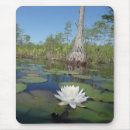 Suche nach wasserlilie mousepads Pflanze