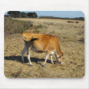 Suche nach kälber mousepads Feld