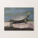 Suche nach langsam puzzle Schildkröte