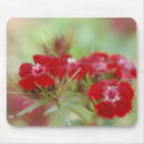 Suche nach blumengarten mousepads Natur