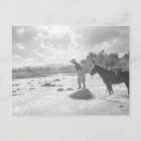 Suche nach fliegenfischer postkarten Vintag