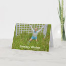 Suche nach torhüter karten Sport