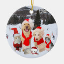 Suche nach labrador ornamente Spaß
