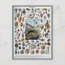 Suche nach vintage zeichnungen postkarten Darstellung