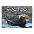 Suche nach alaska vögel postkarten Natur