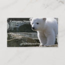 Suche nach eisbär visitenkarten Tier