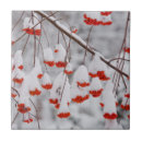 Suche nach washington fliesen Usa