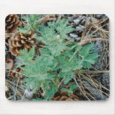 Suche nach farn mousepads Bäume