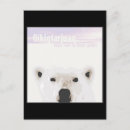 Suche nach eisbär postkarten Schnee