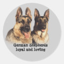 Suche nach deutscher schäferhund aufkleber Adresse