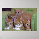 Suche nach babytiere poster Für sie