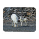 Suche nach tore magnete Alaska