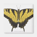 Suche nach schmetterlinge magnete Hübsch