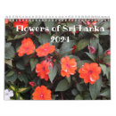 Suche nach asiatischer kalender Blume