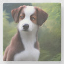 Suche nach collie untersetzer Welpe