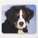 Suche nach intelligent mousepads Hund