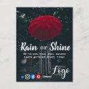 Suche nach rainer postkarten Schirm