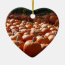 Suche nach halloween kürbis ornamente Oktober