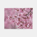 Suche nach kirschbaum decken Kirschblüten