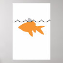 Suche nach goldfish poster Flossen