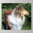 Suche nach k 9 poster Haustiere