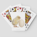 Suche nach ei spielkarten Vogelbeobachtung