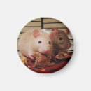 Suche nach ratte magnete Nagetier