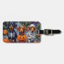 Suche nach tricks gepäckanhänger Dackel