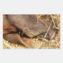 Suche nach schweine aufkleber Landwirtschaft