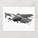 Suche nach meeressäugetier postkarten Natur