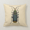 Suche nach entomologie kissen Natur