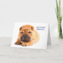 Suche nach shar pei karten Welpe