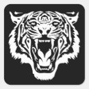 Suche nach tigerkopf aufkleber Tigergesicht