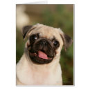 Suche nach 12 wochen postkarten Carlin