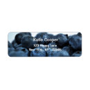 Suche nach blaubeeren Frucht