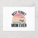 Suche nach frettchen poster Frettehalter