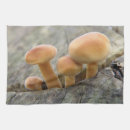 Suche nach baumstamm geschirr tücher Pilz